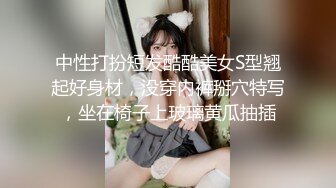 安防精品尤物系列-可以媲美一线当红女明星了5V[某房原版] (4)