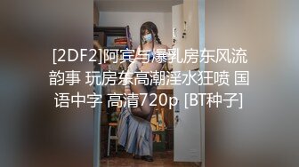 美乳美少妇