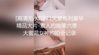 [高清无水印]91天堂系列豪华精品大片-素人约啪第六季：大蜜范女神约拍全记录