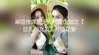 麻豆传媒 mcy 0151 顶流性感女画家的秘密 沈娜娜