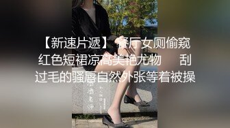 后入骚货细腰美臀