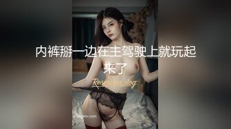 【AI高清2K修复】【探花郎李寻欢】川航“圆梦大使”（美丽空姐），经典神作