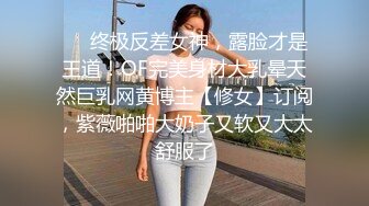 极品紫丁内跑偏极品美少妇（垂直长镜头极品长篇）