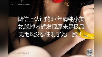 维拉舞团 艳舞女神 【琳达】SVIP-漏毛露点艳舞 合集（包括下海作品合集【80v】 (78)