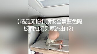 回归：在上海的前奏