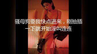 3月最新极品女神【私人玩物】兔头绒衣白丝，超级白皙豪乳粉嫩蜜穴 跳蛋水晶肛塞淫靡又艺术44P1V