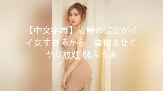 91Porn大神(大汉刘备)约啪良家妇女30部合集