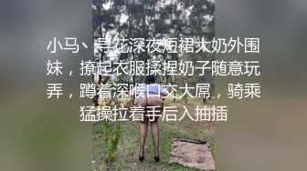 小马丶寻花深夜短裙大奶外围妹，撩起衣服揉捏奶子随意玩弄，蹲着深喉口交大屌，骑乘猛操拉着手后入抽插