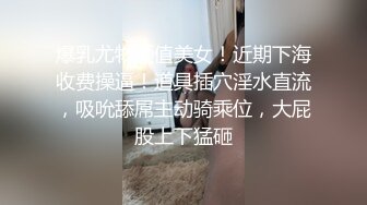 【曝光泄密】巨乳反差母狗刘佳琳~大学时候出轨视图合集