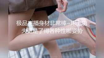 居家高冷巨乳女王打飞机撸射，完美露脸