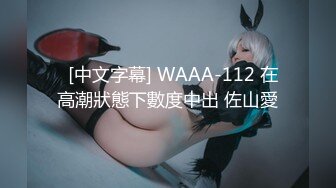   [中文字幕] WAAA-112 在高潮狀態下數度中出 佐山愛