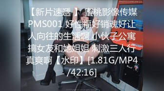 蜜桃影像傳媒 PMTC016 黑絲女銷售春節淫送禮