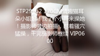 STP29162 170CM情趣猫耳朵小姐姐！找了个小哥来操她！摄影师旁边拍摄，怼着骚穴猛操，干完摄影师继续 VIP0600