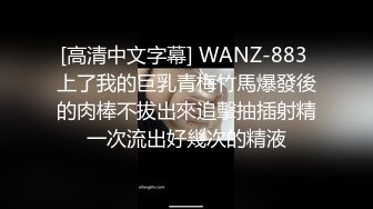 [高清中文字幕] WANZ-883 上了我的巨乳青梅竹馬爆發後的肉棒不拔出來追擊抽插射精一次流出好幾次的精液