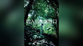 顶级精品！维拉舞团风骚气质小姐姐【瑶瑶】加密特五期，各种情趣透视露毛露奶劲曲热舞，表情抚媚挑逗看硬了 (20)