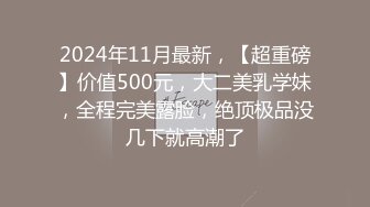 2024年11月最新，【超重磅】价值500元，大二美乳学妹，全程完美露脸，绝顶极品没几下就高潮了