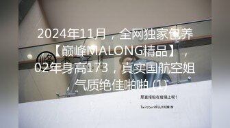 2024年11月，全网独家包养，【巅峰MALONG精品】，02年身高173，真实国航空姐，气质绝佳啪啪 (1)