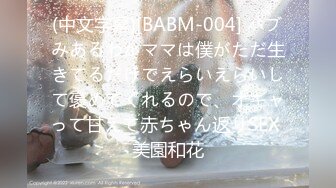 (中文字幕)[BABM-004] バブみあるわかママは僕がただ生きてるだけでえらいえらいして褒めてくれるので、オギャって甘えて赤ちゃん返りSEX 美園和花