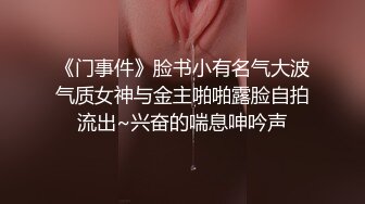 无限地狱拷问-强高+鞭打纯享版